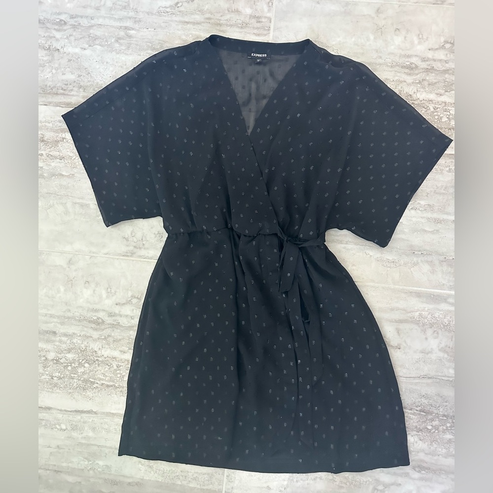 Express Sheer Dotted Black Mini Dress